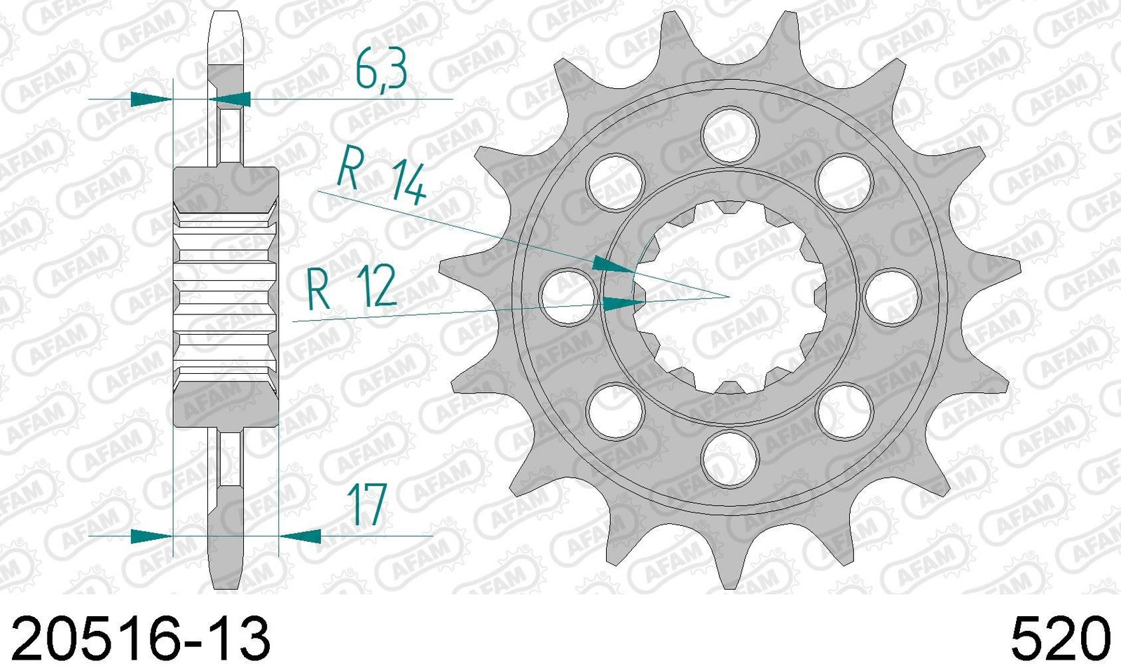 PIGNONE AFAM 20516-13 PASSO 520