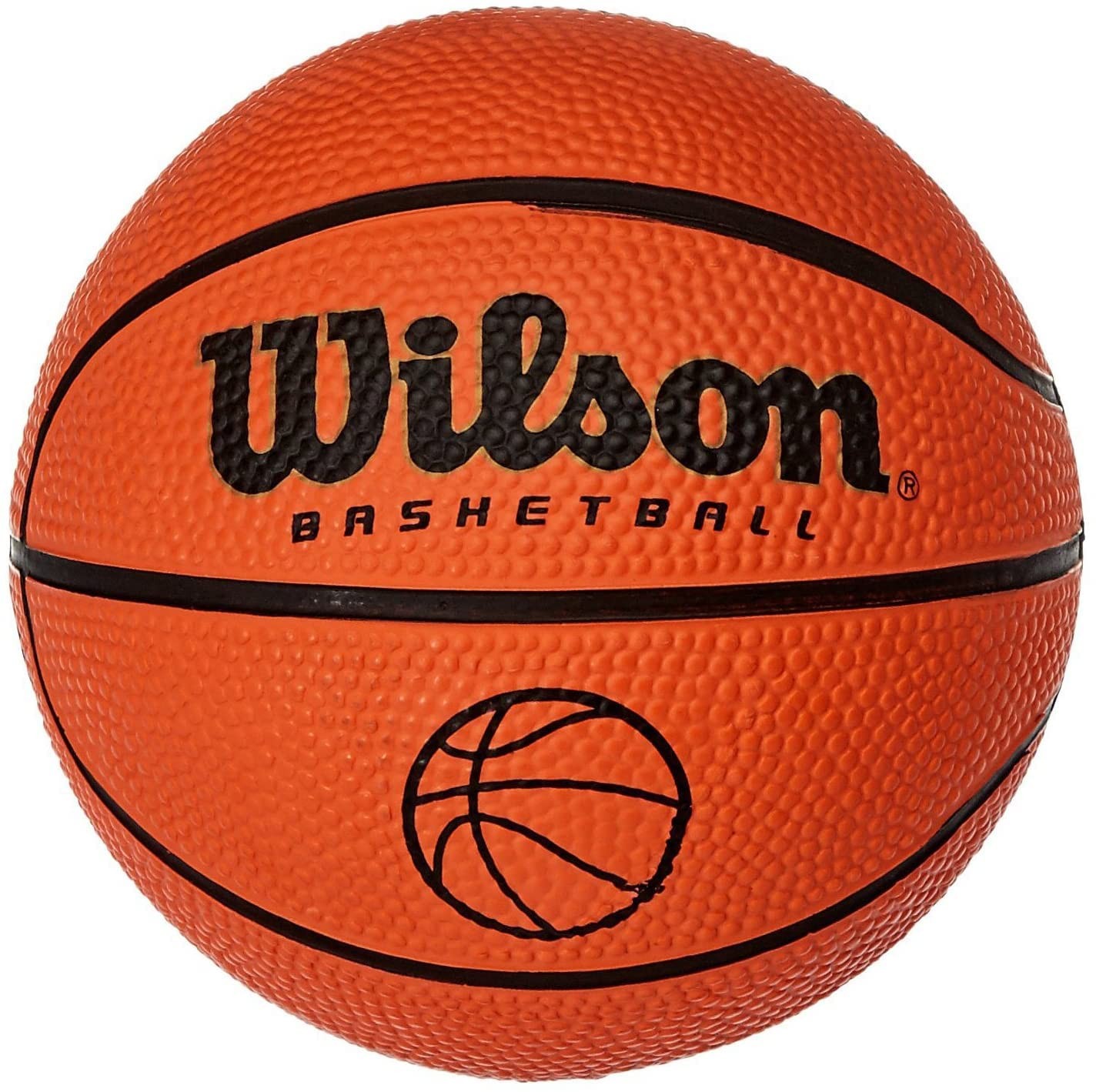 Wilson Basketball, Indoor and Outdoor
