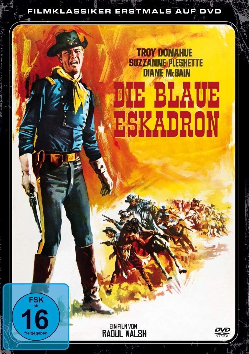 Die blaue Eskadron (DVD) Donahue Troy Pleshette Suzanne Mcbain Diane