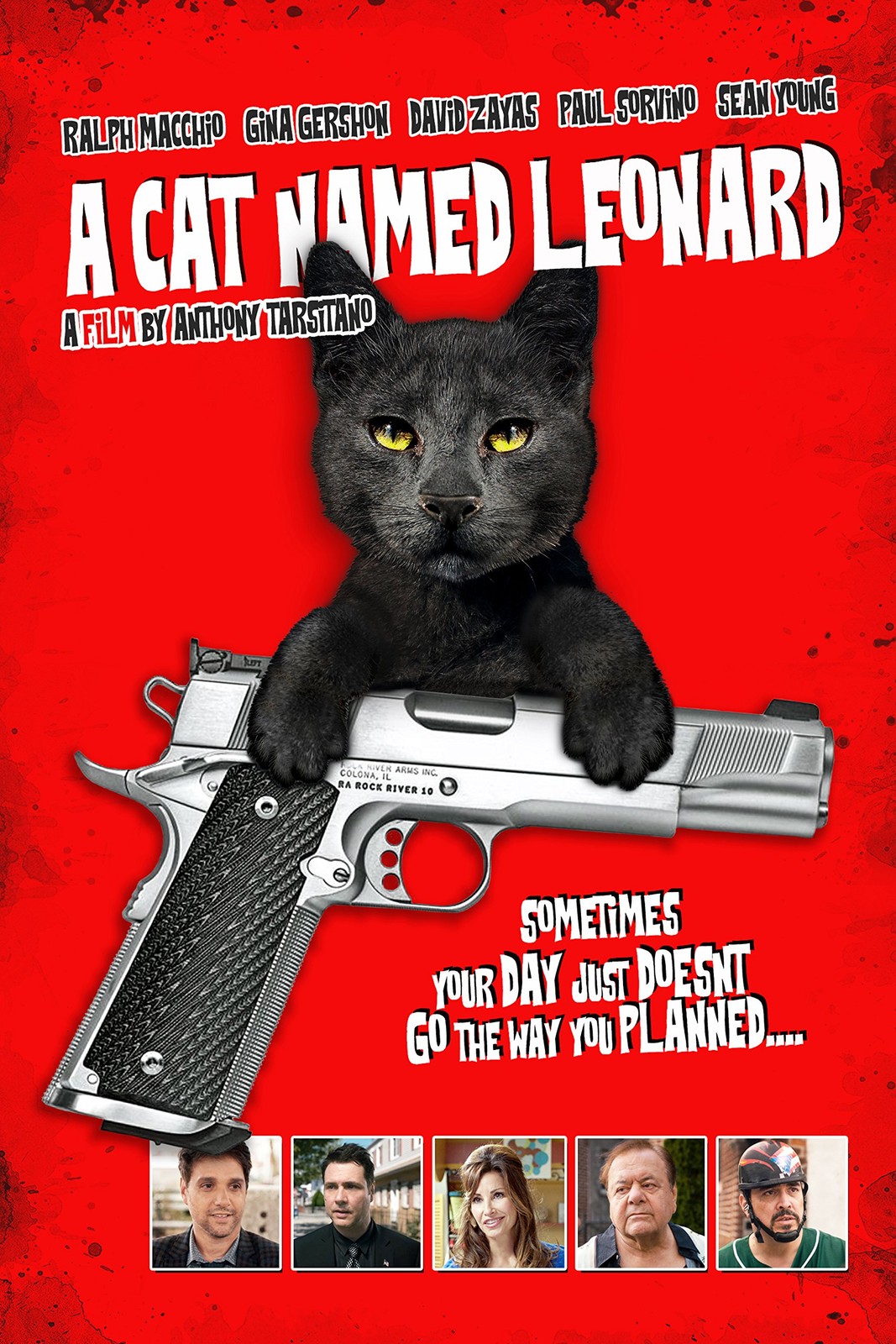 A CAT NAMED LEONARD (DVD)