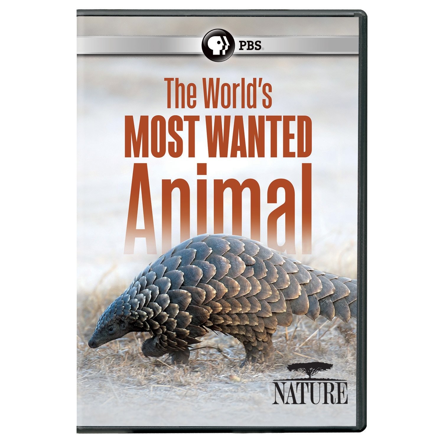 NATURE: The World's Most Wanted Animal DVD (DVD)