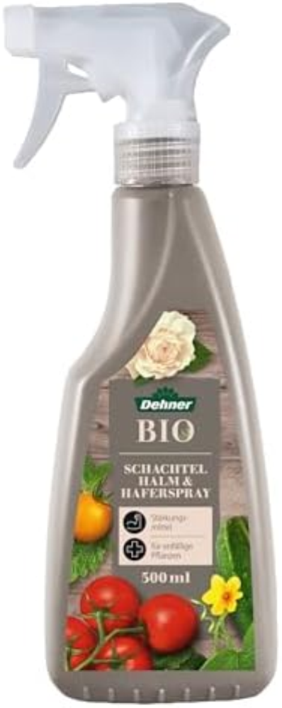 Dehner 6640254 Scatola Spray
