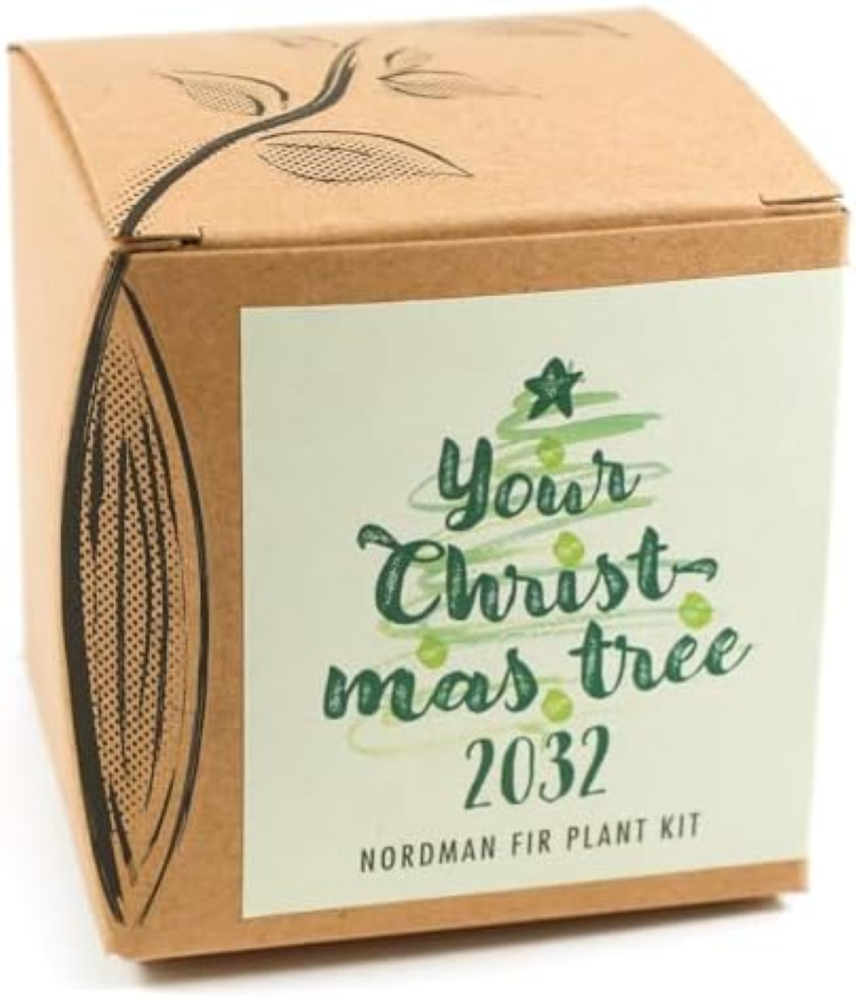 Your Christmas Tree 2031 - Kit per coltivazione "Your Christmas Tree 2031"