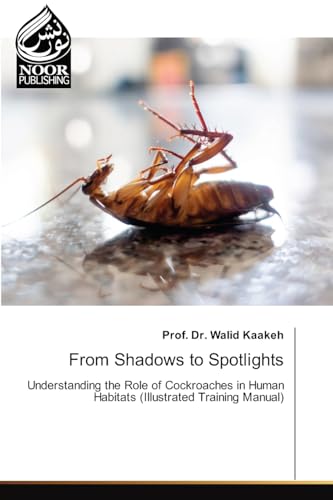 From Shadows To Spotlights