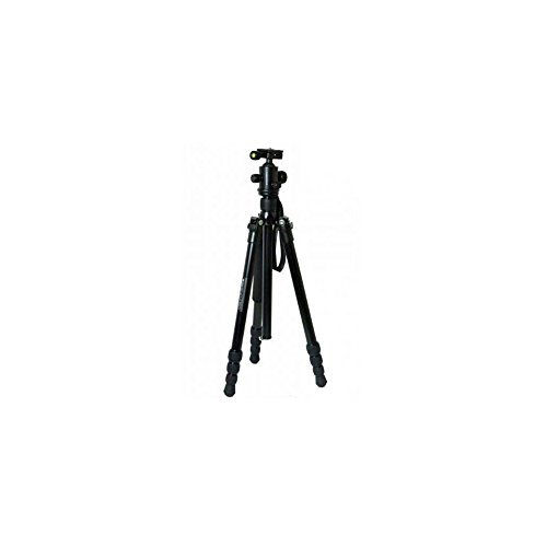 Braun Photo Technik (20552) - Nox 180 - Treppiedi Professionnele