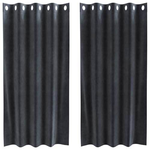 Tende Oscuranti Vidaxl Con Occhielli 2 Pcs Grigio Scuro Velluto