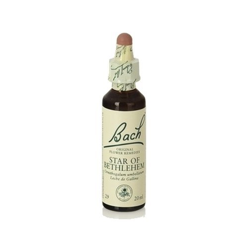 Star Of Bethlehem Fiori Di Bach 20 Ml Di Fiori Di Bach Originali