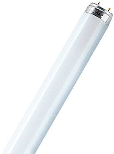 Lumilux L 36W/840−1