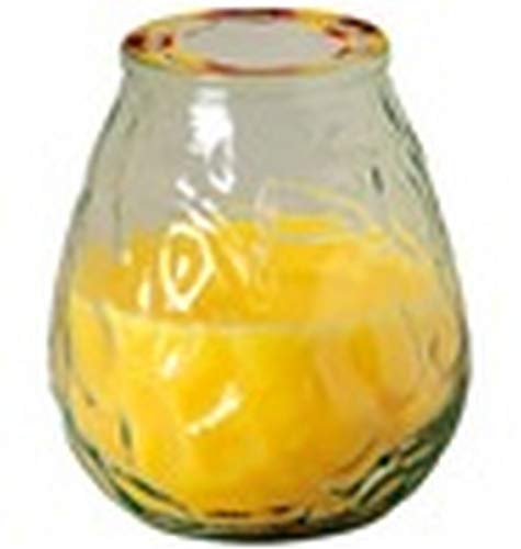 Bicchiere In Vetro Con Candela Alla Citronella