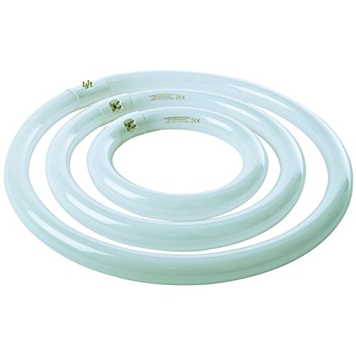 Lamp Circ Trifosf G10Q 32W Dl
