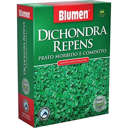 Prato Dichondra Repens Blumen 500Gr