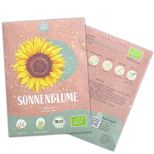Bio Hella Sonnenblumen Samen, 20 Blumensamen Mit Hoher Keimquote, Sonnenblumensamen Für Deinen Garten, Balkon, Beet Oder Als Gastgeschenk. Samenfestes