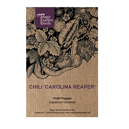 Peperoncino 'Carolina Reaper' (Capsicum Chinense)
