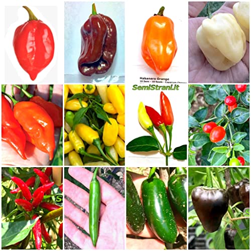 120 Semi Di Peperoncino Nelle 12 Varietà Più Gustose E Piccanti Del Messico, Collezione Messicana + Guida: Habanero Di 6 Tipi, Tabasco, Chiltepin, Ser