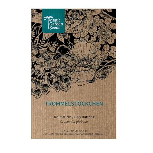 Drumstick (Craspedia Globosa) - Circa 80 Semi Dello Speciale Fiore Reciso, Fiore Secco Dall'Australia