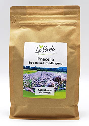 Phacelia 1 Kg Di Seme