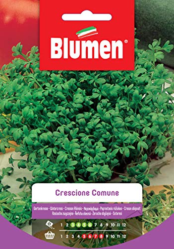 Crescione Comune
