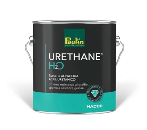 Paulin Smalto All' Acqua Urethane Bianco Opaco 750Ml