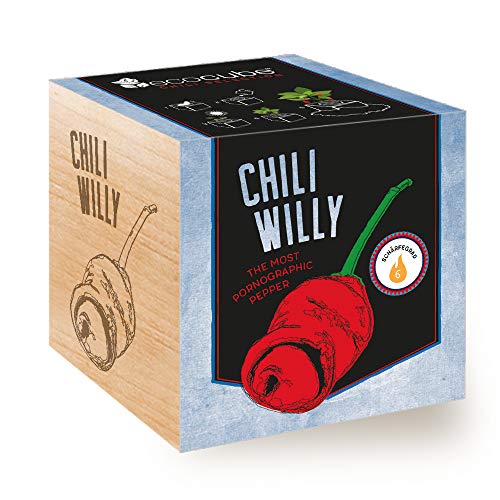 Feel Green Ecocube Chili Willy, The Most Pornographic Pepper, Idea Regalo Sostenibile (100% Eco Friendly), Grow Your Own/Set Di Coltivazione, Piante N