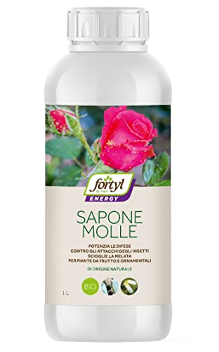 Copyr | Fortyl Energy Sapone Molle Da 1L