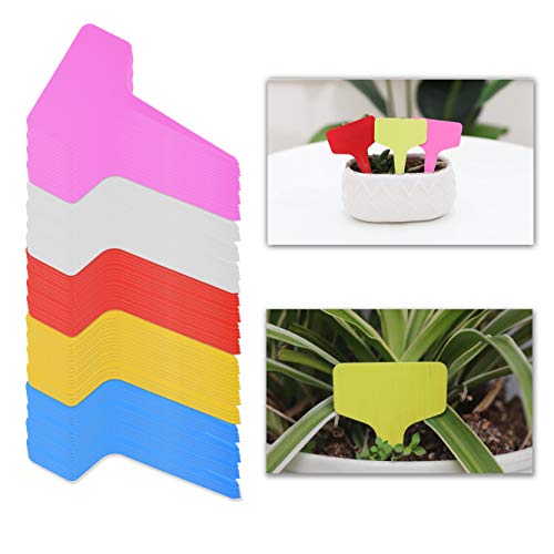 Kare & Kind 100 Etichette Per Piante A T, Colorate In Plastica, Resistenti Alle Intemperie E Riutilizzabili, Per Giardini, Vivai, Aziende Agricole