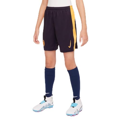Nike Shorts Da Calcio Replica Dri-Fit Inter 2024/25 Stadium Per Ragazzo/A – Terza, Blackened Blue/University Gold/Lyon Blue, Fq2262-498, Xl
