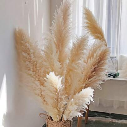 8/20 pezzi Decorazione in erba pampa secca da 38", erba pampa alta - erba pampa, erba pampa beige per vasi da pavimento, matrimoni, feste, stile fatto