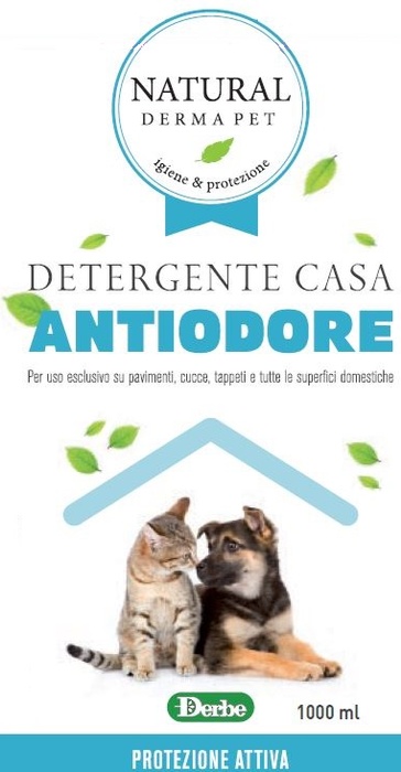 Igienizzante Casa Antiodore - 1LT