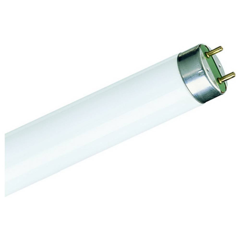 Signify Lampada fluorescente ERP: G (A - G) G13 36.6 W Bianco neutro Forma di asta (Ø x L) 28 mm x 984.2 mm 1 pz.