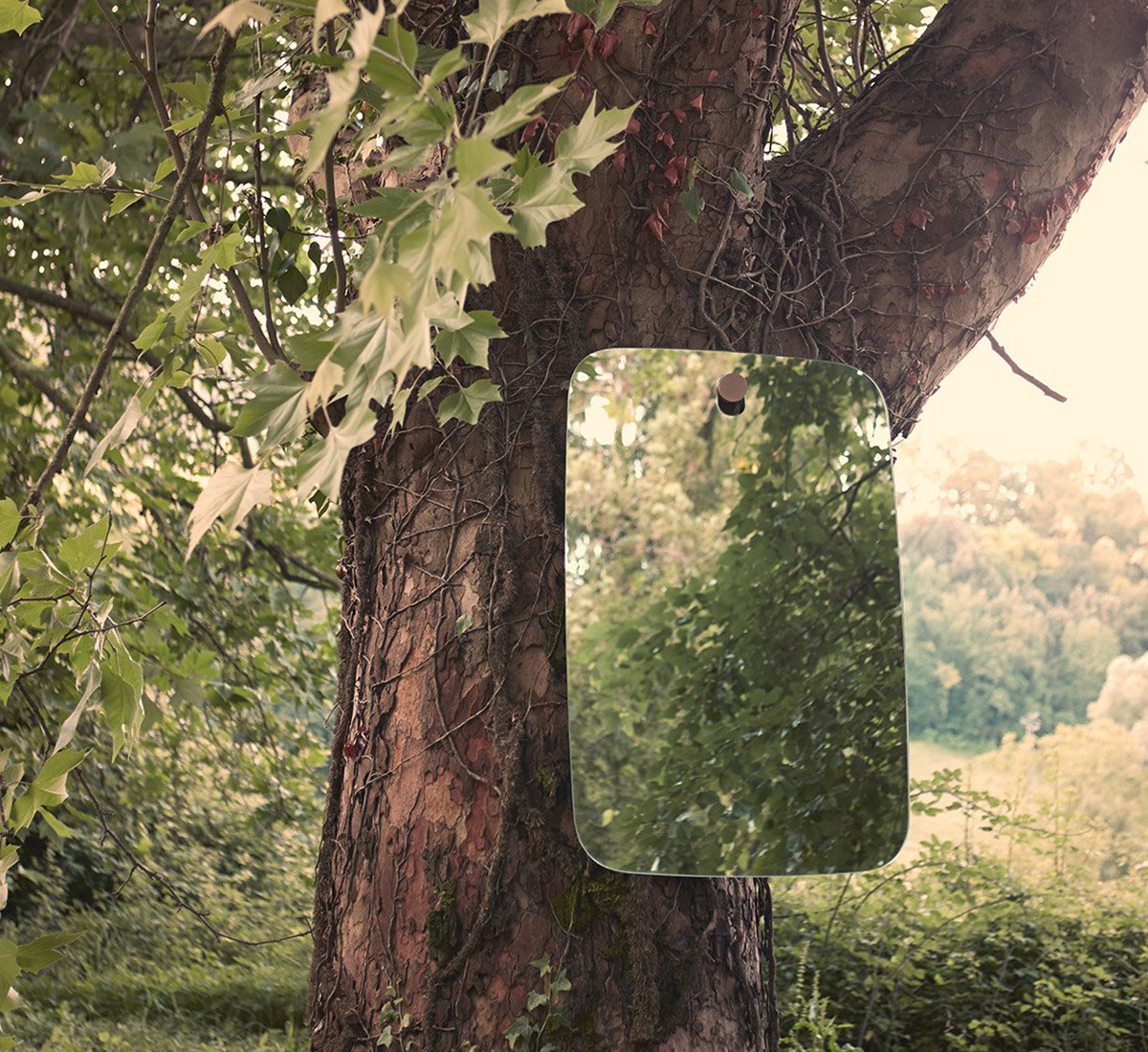 Middle Brothers Mirror