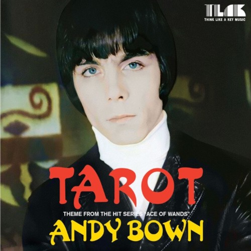 Tarot: Theme from the Hit Series 'Ace of Wands' by Andy Bown [VINYL]
