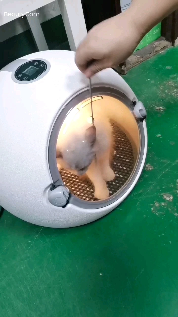 Pet Hair Blowing Dryer Machine Household Silent Automatic Smart Dog Cat Mascotas Asciugatrice Secadora Pet Room Dryer Box