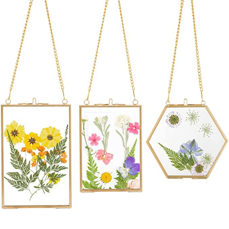 3 Confezioni Di Cornici In Vetro Con Fiori Pressati-Cornici In Vetro Da Appendere Dorate Con Cornici Per Esposizione Di Opere D'Arte Fai-Da-Te Gallegg