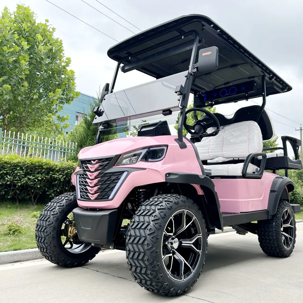 5Kw Motore A Corrente Alternata 48/60/72V Piombo Acido/Batteria Al Litio Parabrezza Paraurti 2/4/6/8 Sedile Passeggero Elettrico Golf Buggy Carrello