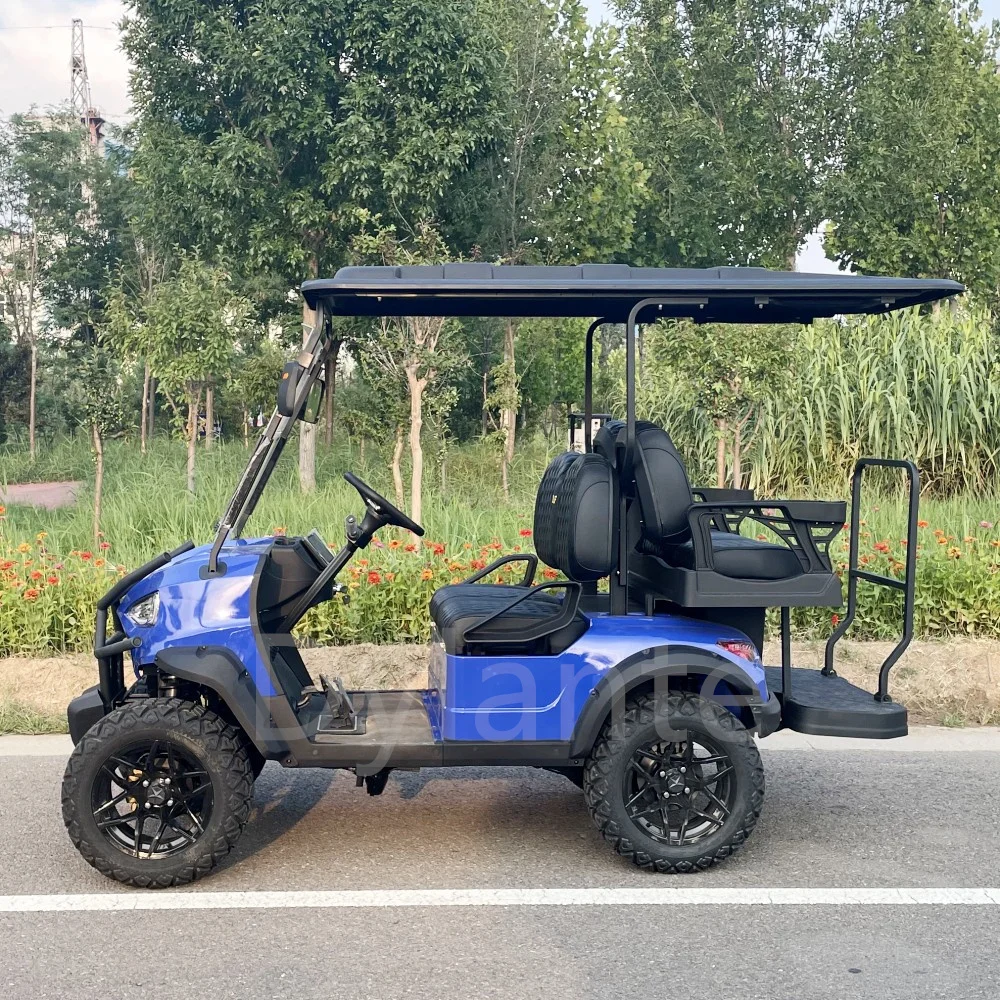 5Kw Motore A Corrente Alternata 48/60/72V Piombo Acido/Batteria Al Litio Parabrezza Paraurti 2/4/6/8 Sedile Passeggero Elettrico Golf Buggy Carrello