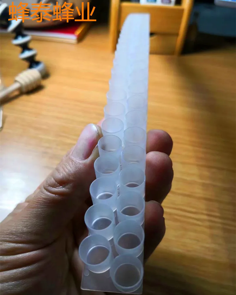 10 Pezzi Di Pappa Reale Con Doppia Fila Di Pappa Reale In Plastica, La Cornice Della Pappa Reale, La Gelatina Della Regina E L'Ape-Kee