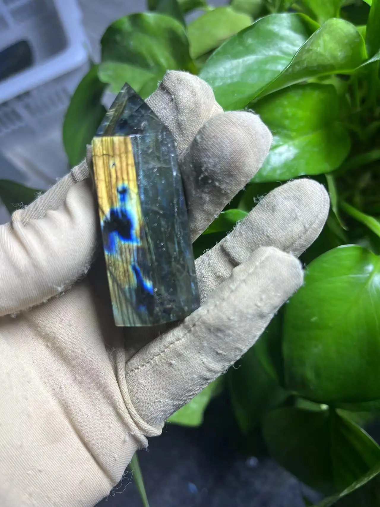 Così Bella Forte Labradorite Piccola Torre A Punta In Vendita Pietra Preziosa Di Quarzo Cristallo Naturale Migliore Decorazione
