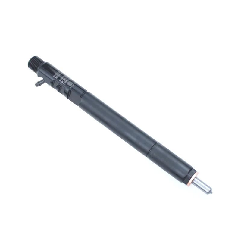 Iniettore Diesel Cr Ejbr04701D Ejbr04501D Ejbr03401D Ejbr04601D Ejbr02601Z Ejbr03301D A6640170121 Per Deiphi Ssangyong Euro 3/4