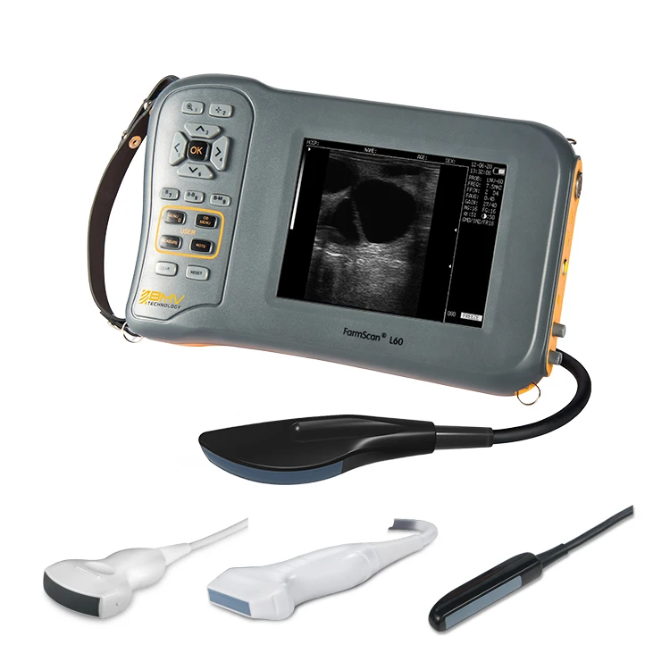 Bmv Farmscan L60 Portatile Portatile Bovini Equino Pecora Maiale Scanner Ad Ultrasuoni Ecografo Strumenti Veterinari Echographe Equine