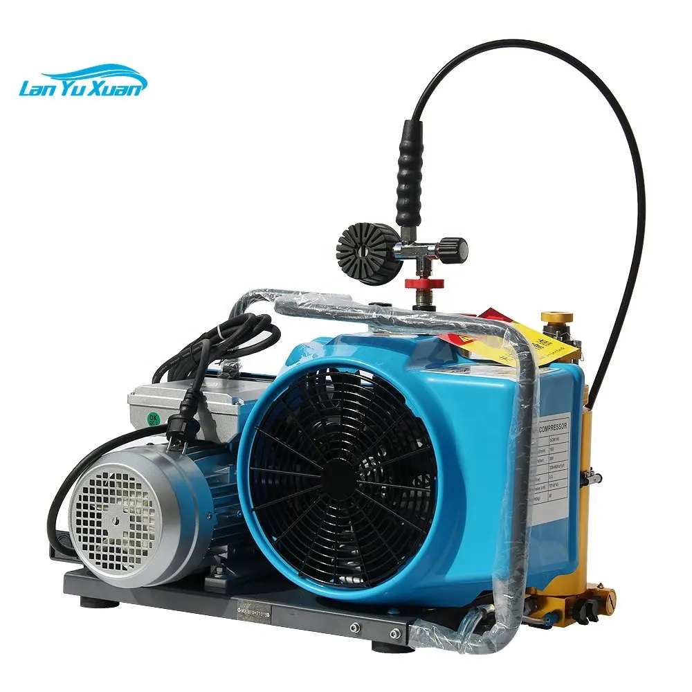 Dmc Nice Sales 4500 Psi 300 Bar Scuba Tanks Oil Free Breathing Air Compressor Pcp Diving Air Compressor