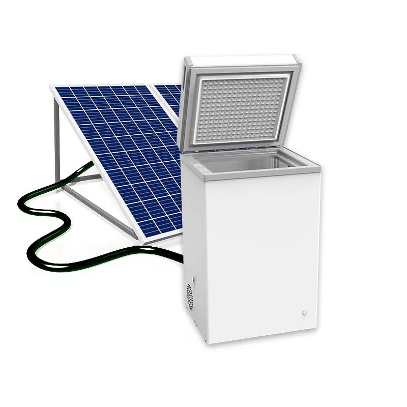 Frigoriferi Congelatori A Energia Solare 60L Di Vendita Caldi Per Uso Domestico Dc Readers Tunneling Congelatori Sistema Solare Domestico