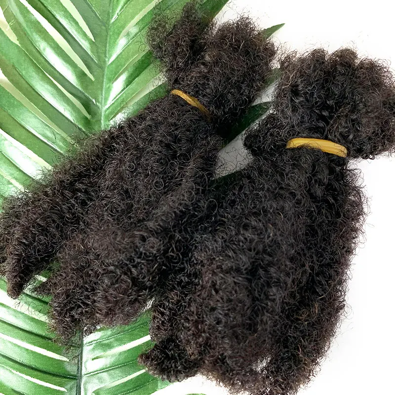 Afro Kinky Curly Locks Estensioni Dei Capelli Microlocs Intrecciare I Capelli Umani Capelli Sfusi Per Intrecciare Trecce All'Uncinetto Nere Naturali 4