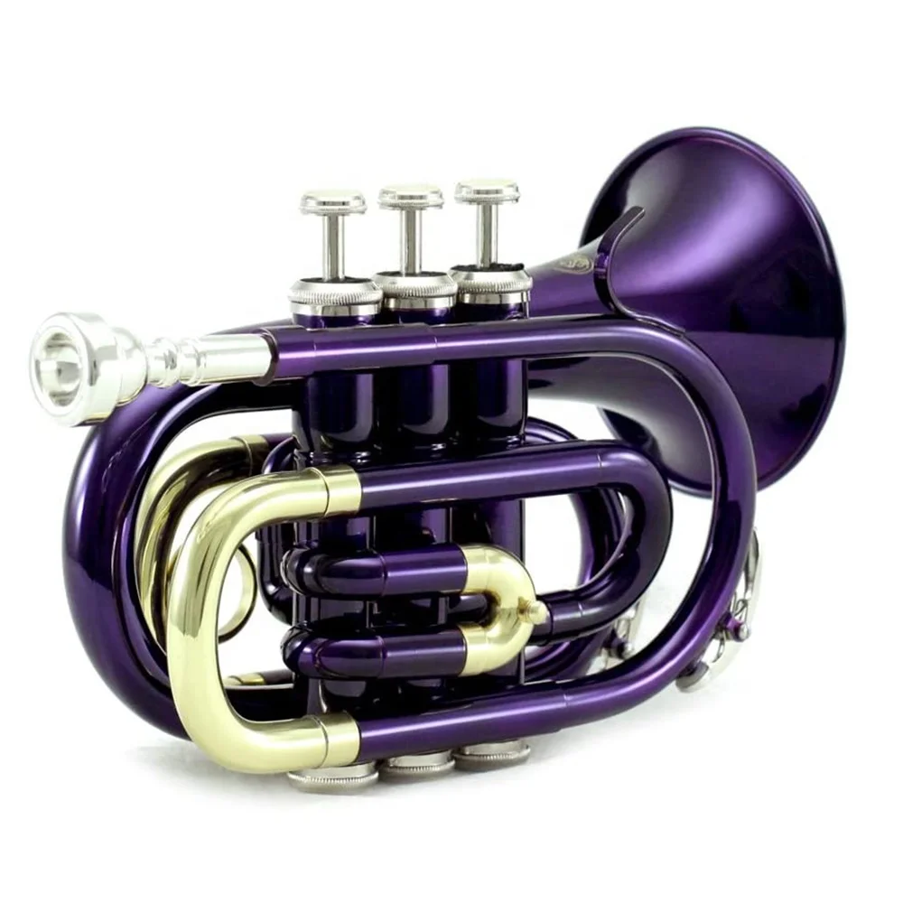 Seasound Oem Cheap Purple Mini Pocket Tromba Instrument Trompette Jypt406Pu