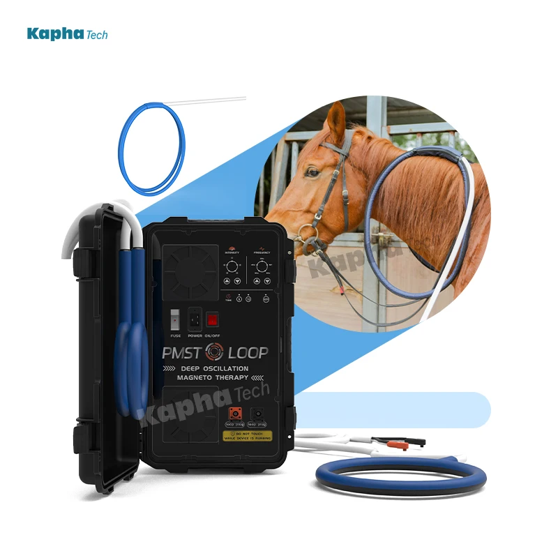 Horse Pemf Therapy Magnawave Dispositivo Magnetico Per Lesioni Al Tendine Equino E Al Legamento