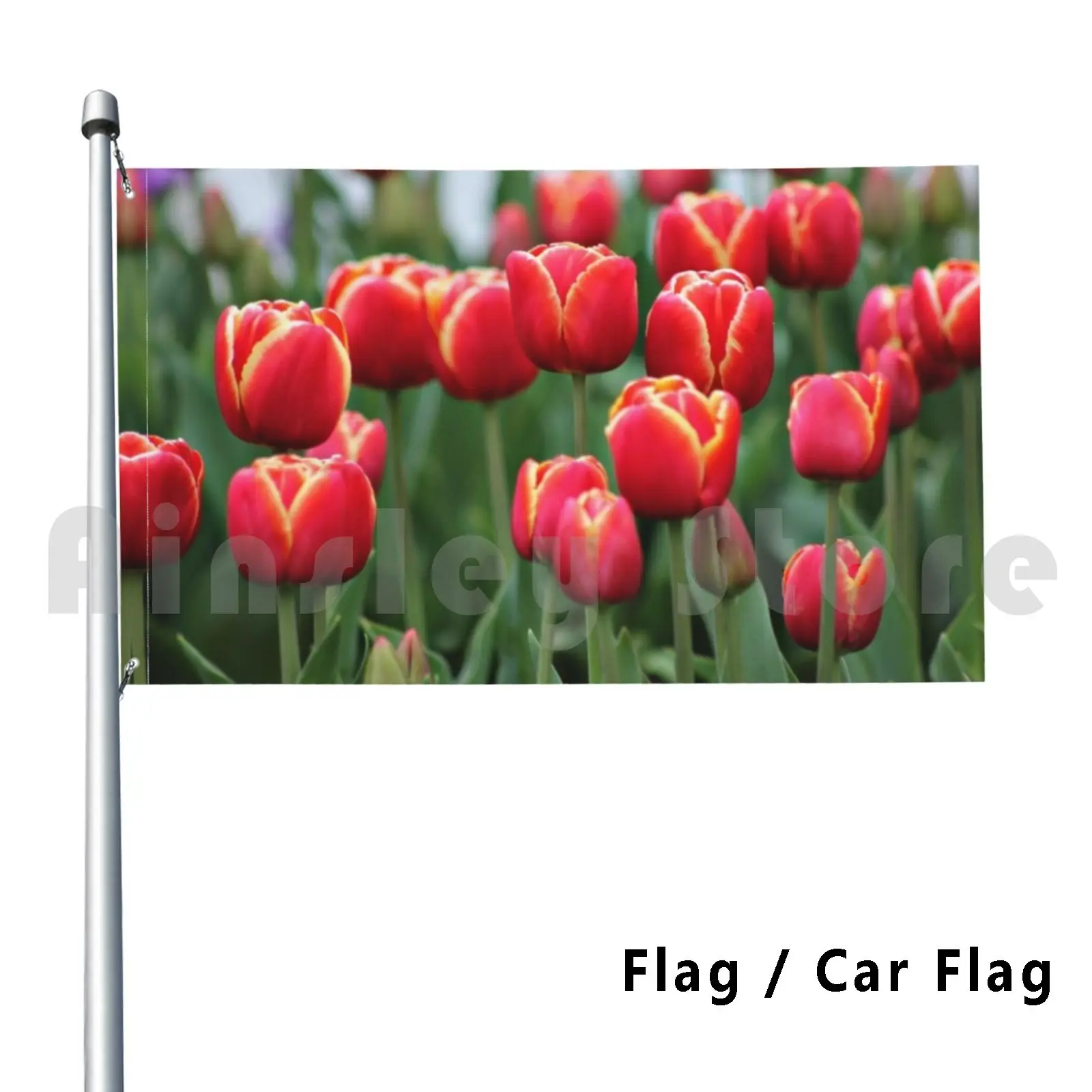 It'S Tulip Time Outdoor Decor Flag Car Flag Tulip Tulip Farm Tesselaar Silvan Dandenong Range Beautiful Flora Flower Dutch
