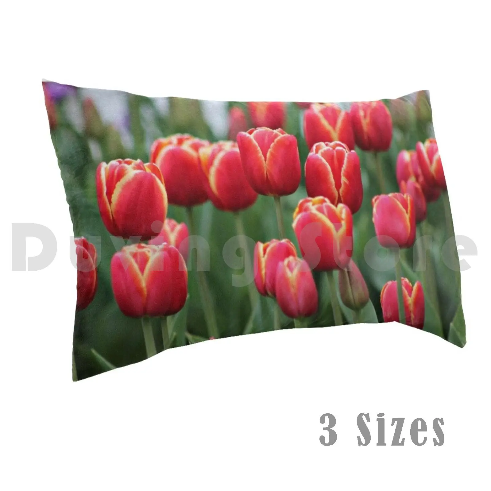 It'S Tulip Time Federa Fai Da Te 50X75 Tulip Tulip Farm Tesselaar Silvan Dandenong Range Beautiful Flora Flower Dutch