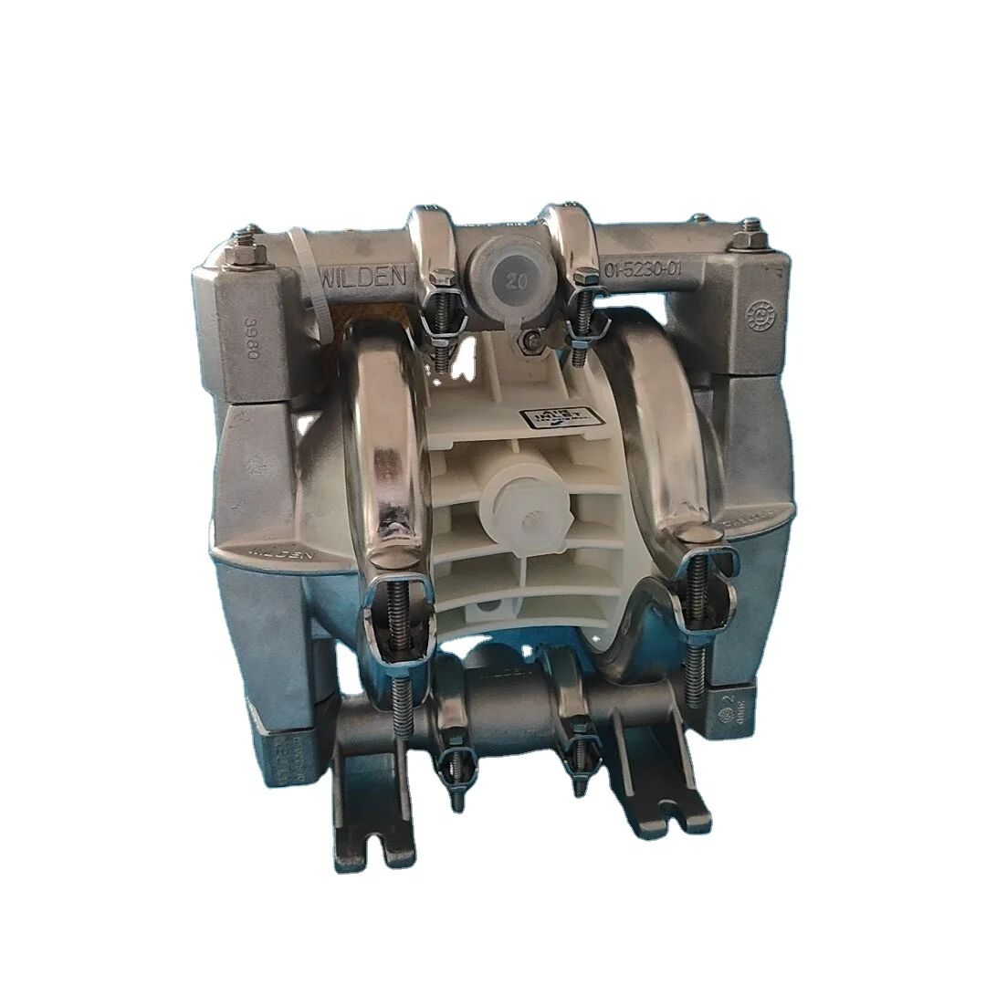 Pompa Pneumatica A Membrana Wilden P1 P1/Aappp/Wfs/Wf/Awf