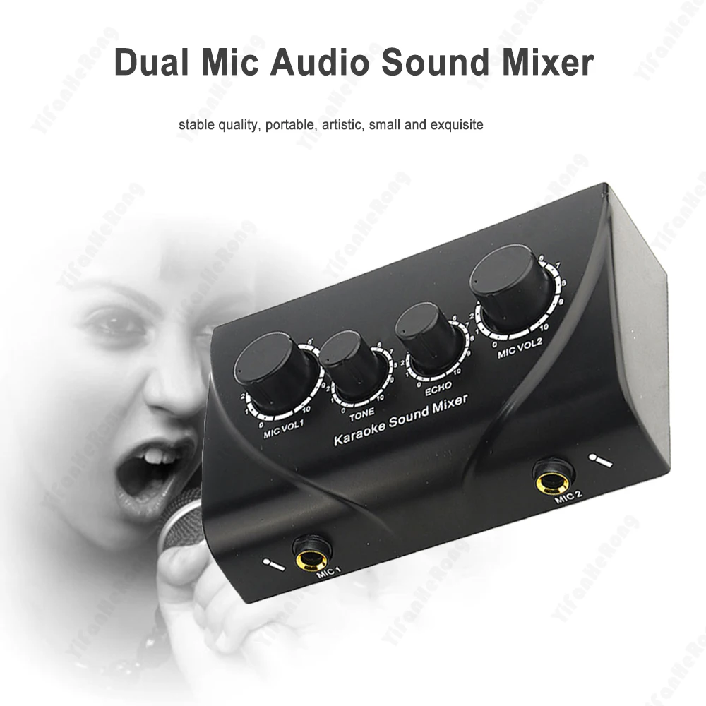 Mixer Audio Portatile Mixer Audio Echo Altoparlante Audio Mini Amplificatore Microfono Doppio Microfono Ingressi Per Azienda Pc Tv Party Studio