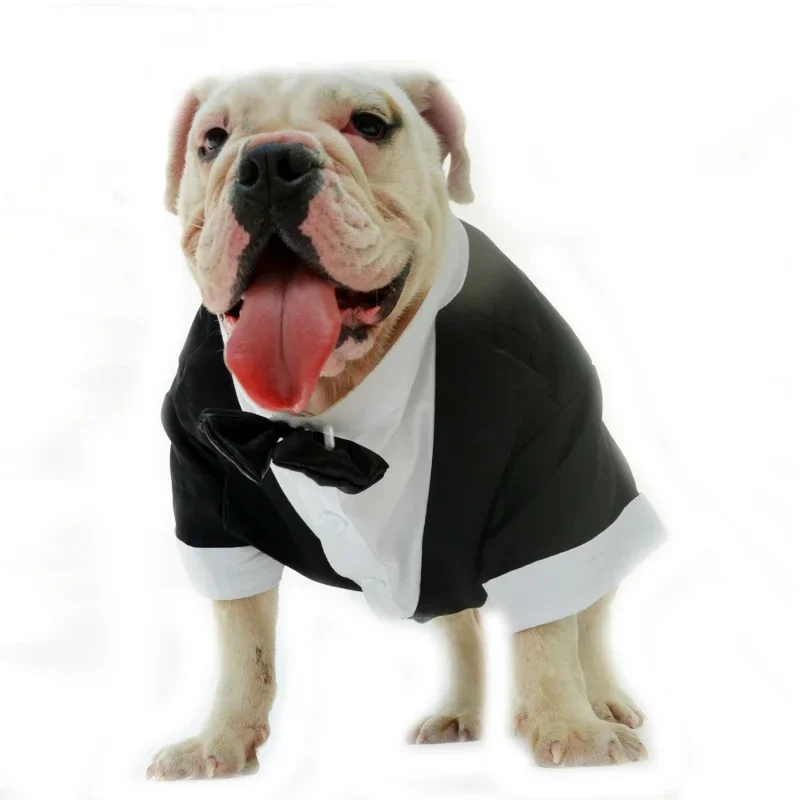 Francese Vestiti Bulldog Pug Vestiti Da Cerimonia Nuziale Del Cane Vestito Di Smoking Bulldog Pit Bull Terrier Americano Bullo Pitbull Cane Cappotto C
