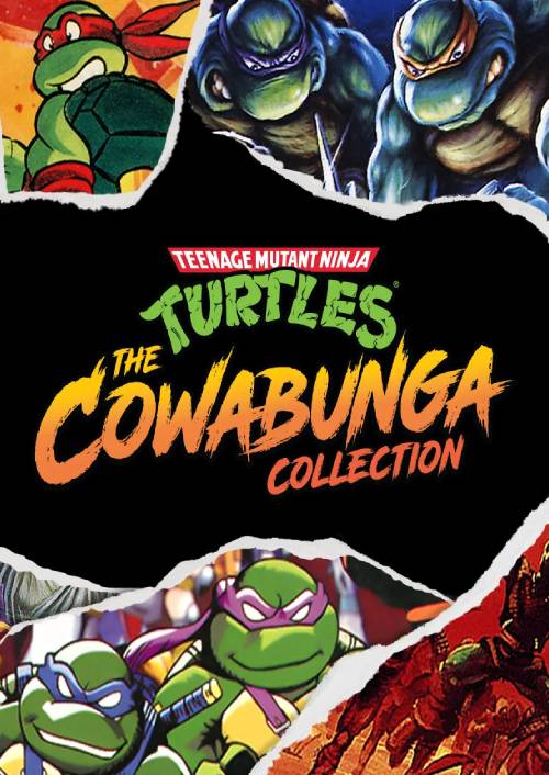 Teenage Mutant Ninja Turtles: The Cowabunga Collection Pc